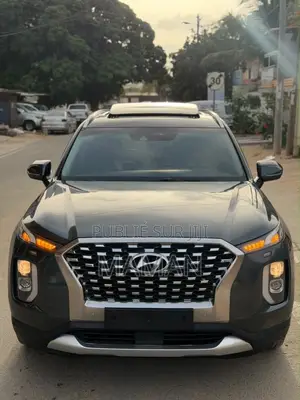 Hyundai Palissade 2019 Gris