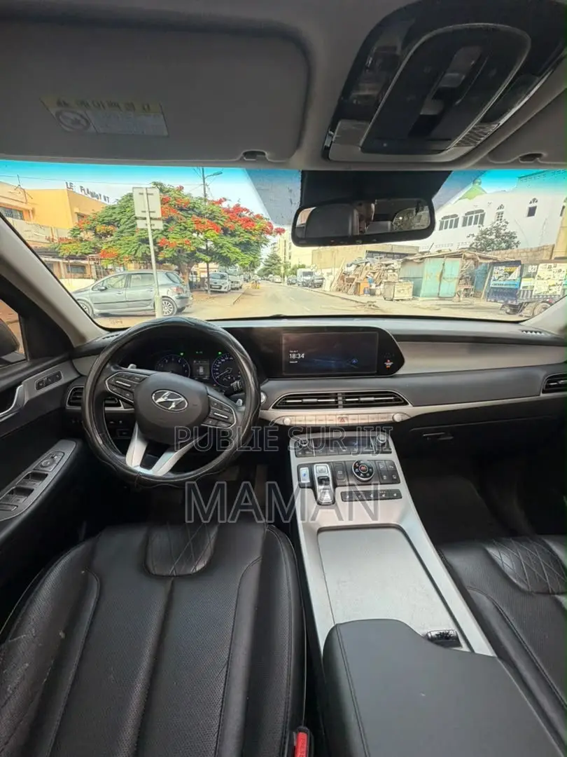 Hyundai Palissade 2019 Gris