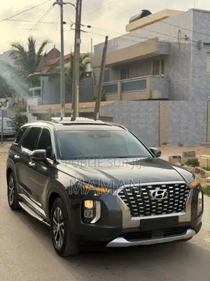 Hyundai Palissade 2019 Gris