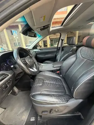 Hyundai Palissade 2019 Gris