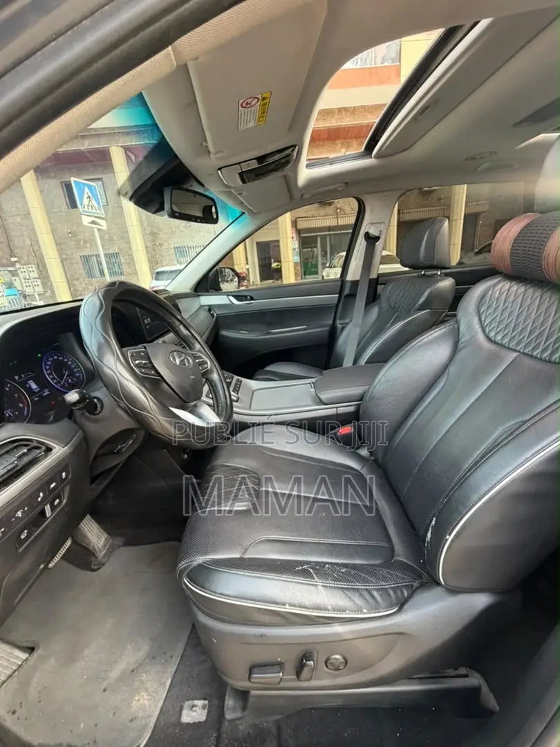 Hyundai Palissade 2019 Gris