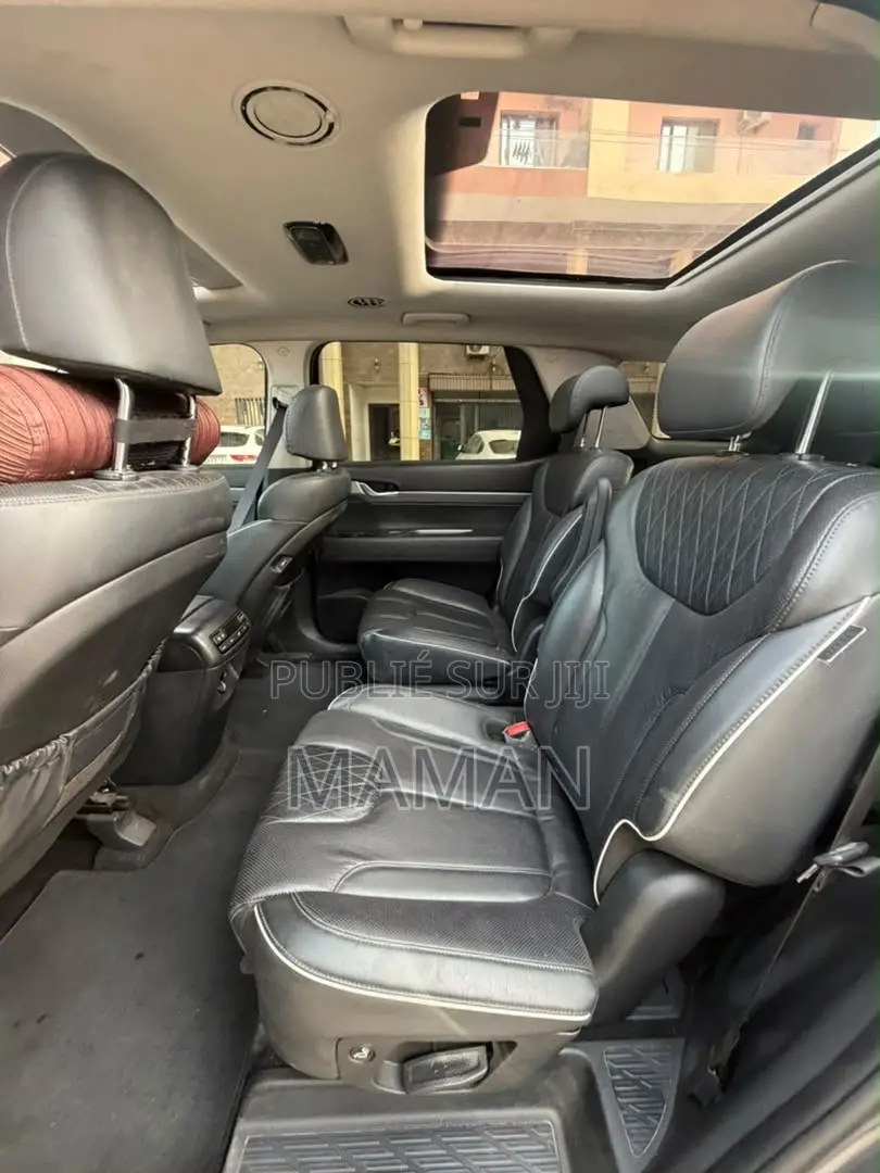 Hyundai Palissade 2019 Gris
