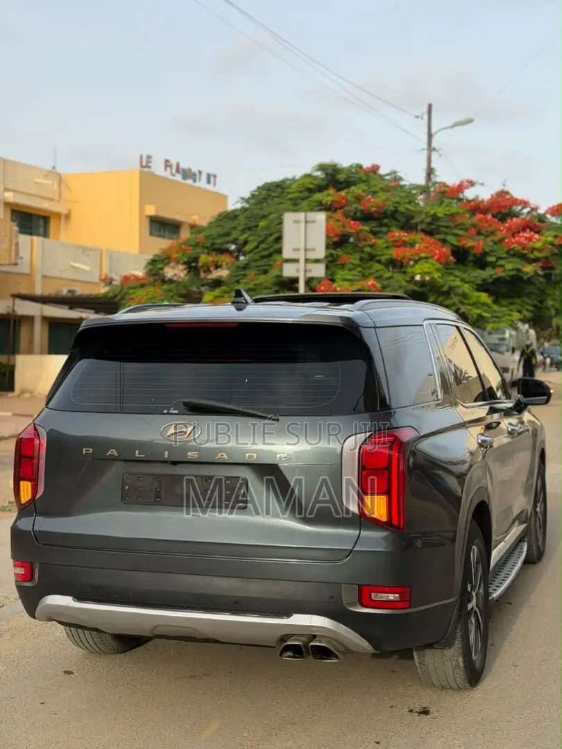 Hyundai Palissade 2019 Gris