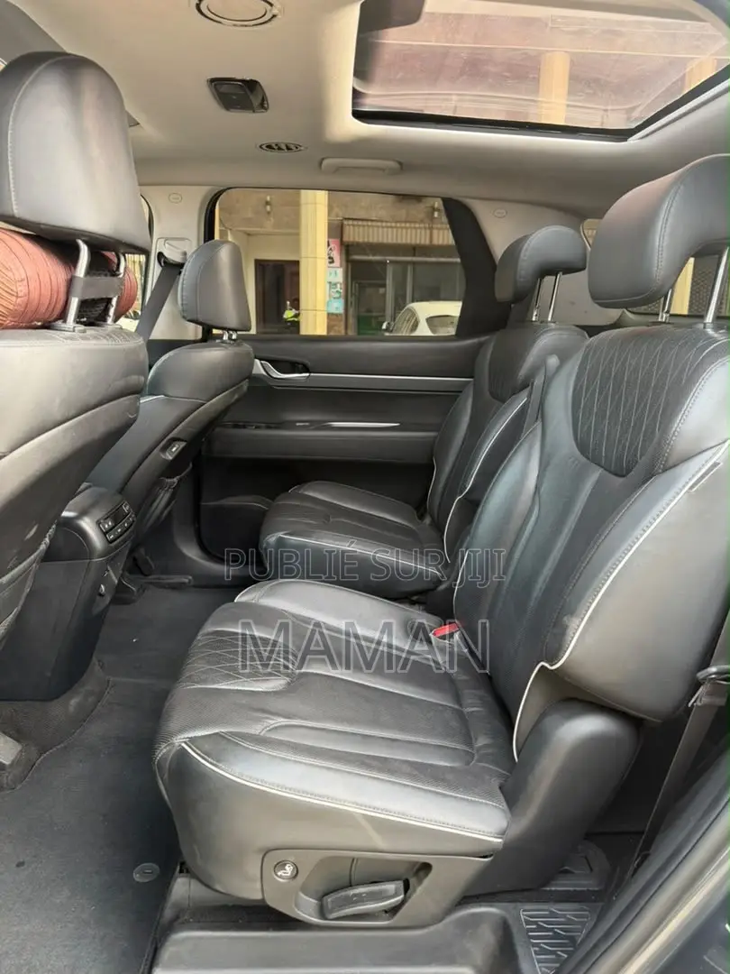Hyundai Palissade 2019 Gris